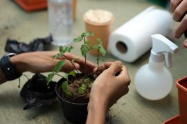 Fenagro. Foto: Thuane Maria/GOVBA