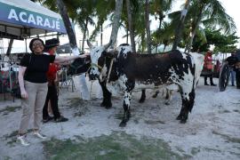 Fenagro. Foto: Thuane Maria/GOVBA