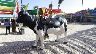 16ª Feira Baiana da Agricultura Familiar e Economia Solidária. Foto: Feijão Almeida/GOVBA