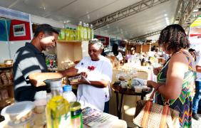 16ª Feira Baiana da Agricultura Familiar e Economia Solidária. Foto: Feijão Almeida/GOVBA