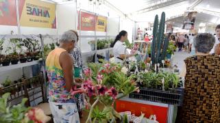 Feira Baiana da Agricultura Familiar. Foto: Joá Souza/GOVBA