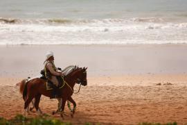 Cavalaria da Polícia Militar auxilia policiais na prevenção de furtos e roubos durante Operação Verão 2025/26