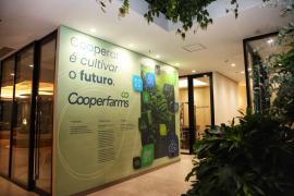  Fotos Thuane Maria GOVBA (4).jpg