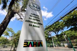  Fotos Wuiga RubiniGOVBA (2).jpeg