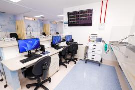 Fotos Amanda ErcíliaGOVBA (5).jpg