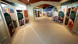  Fotos Feijão AlmeidaGOVBA (2).jpg