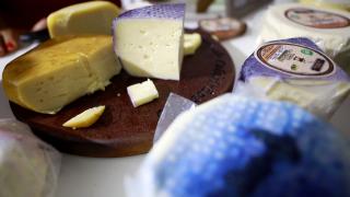 Capim Grosso. Fotos: Feijão Almeida/GOVBA