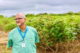 Foto: Rebeca Falcão/Seagri