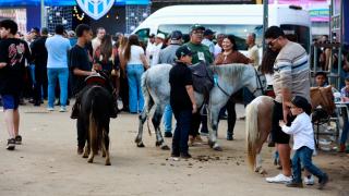 Fotos Feijão AlmeidaGOVBA (2).jpg