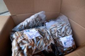 Primeira comercialização das Marisqueiras do CoopMar
