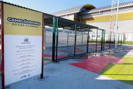 Foto Feijão AlmeidaGOVBA (4).jpeg
