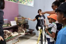 Educação ambiental desenvolvido pelo Parque Zoobotânico da Bahia