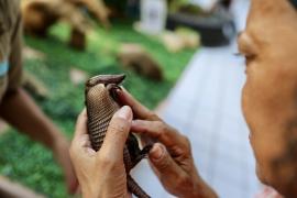 Educação ambiental desenvolvido pelo Parque Zoobotânico da Bahia