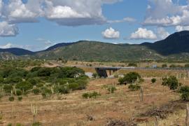 Ponte sobre o Rio Itapicuru Mirim, na BA-381, entre Itiúba. Fotos: Camila Souza/GOVBA