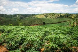 Bahia Produtiva tem mais US$ 150 milhões para a agricultura familiar