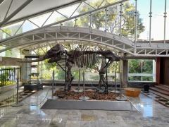 Museu Geológico da Bahia é reaberto ao público na quarta-feira (30)