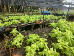 Governo do Estado amplia acesso à água para produção no rural baiano