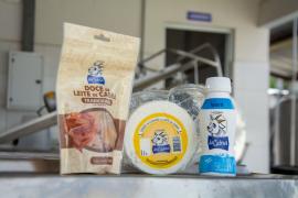 latcínios de cabras_PRODUTOS