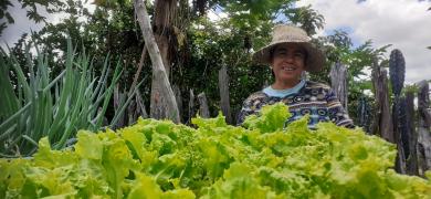 Maria do Socorro (2) - Fogões ecológicos preservam meio ambiente e geram economia e saúde