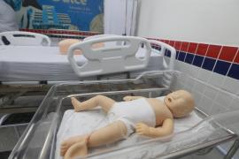 Amargosa Foto Feijao Almeida (16)