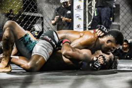 MMA (2)