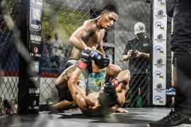 MMA