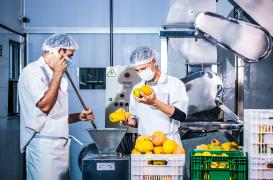 processamento manga_fruta