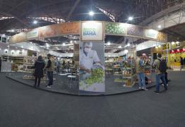 ESTANDE FEIRA NATURATECH 2023