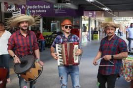 imprensa são joão mercado rio vermelho