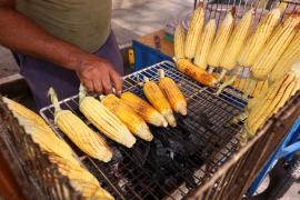 São joão cruz das almas 2023 _milho