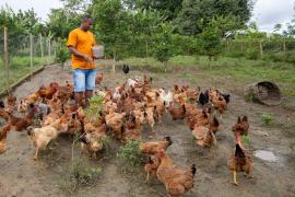 WhatsApp Image 2023-06-30 at 10.29.41