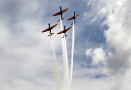 2 de julho. Foto Fernando Vivas GOVBA 8