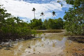 Oficina na APA Ponta da Baleia/Abrolhos - Inema