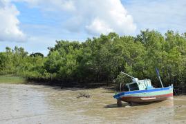 Oficina na APA Ponta da Baleia/Abrolhos - Inema