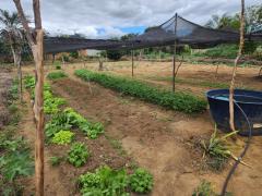 Quintas produtivos - Agricultura Familiar