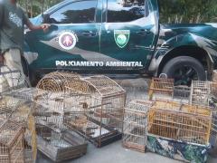 thumbnail_20230703_162104