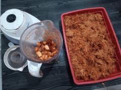 Estudantes de Serrinha desenvolvem areia sanitária para gatos à base de coco verde