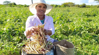 Garantia Safra: agricultores familiares já podem fazer inscrição