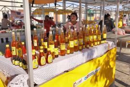 Em Remanso, Governo do Estado entrega obras de infraestrutura e agricultura familiar