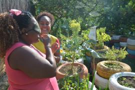 Turismo de base comunitária valoriza a cultura quilombola do Baixo Sul da Bahia