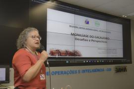 Secretários da agricultura de estados produtores de cacau se mobilizam contra a monilíase do cacaueiro