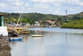 Global Mangue: encontro internacional em Maragojipe discute o futuro dos manguezais