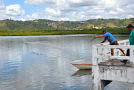 Global Mangue: encontro internacional em Maragojipe discute o futuro dos manguezais