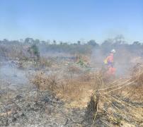 Mais de 220 bombeiros com apoio de 50 viaturas e brigadistas voluntários atuam no combate a incêndios florestais no interior da Bahia