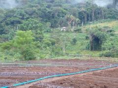 Investimentos em assentamento de Ibirapitanga promove aumento da produtividade e qualifica produção