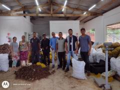 Exportação de coco de piaçava pela agricultura familiar reforça relações comerciais entre Bahia e Egito