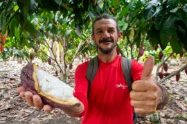 Investimento na qualificação de amêndoas de cacau eleva a produção em Santa Luzia