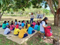 sopa de letras_atração crianças_divulgação Ipac