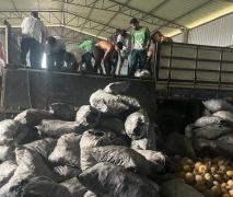 Vinte e cinco toneladas de carvão vegetal ilegal são apreendidas pela Cippa em 48 horas