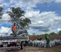 Vinte e cinco toneladas de carvão vegetal ilegal são apreendidas pela Cippa em 48 horas